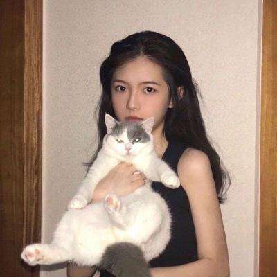 手游胡桃互娱九天苍穹下载